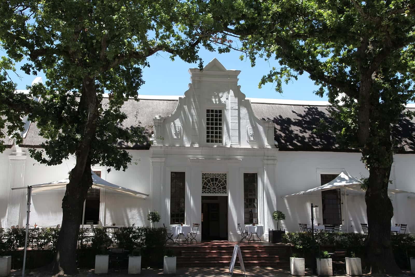 A whitewashed Cape Dutch house under oak trees in Stellenbosch